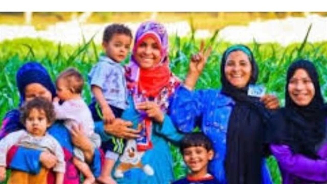 رابط الاستعلام.. خطوات الوصول إلى نتائج معاش تكافل وكرامة 2026